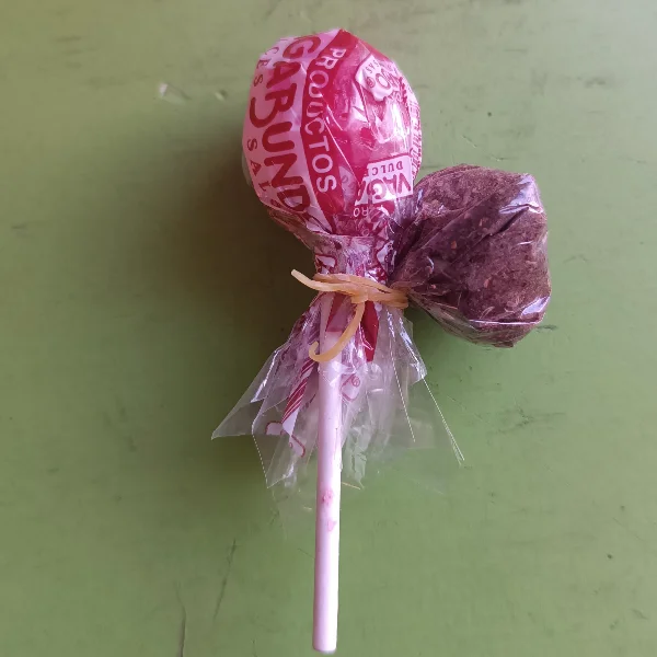 Paleta Vagabundo